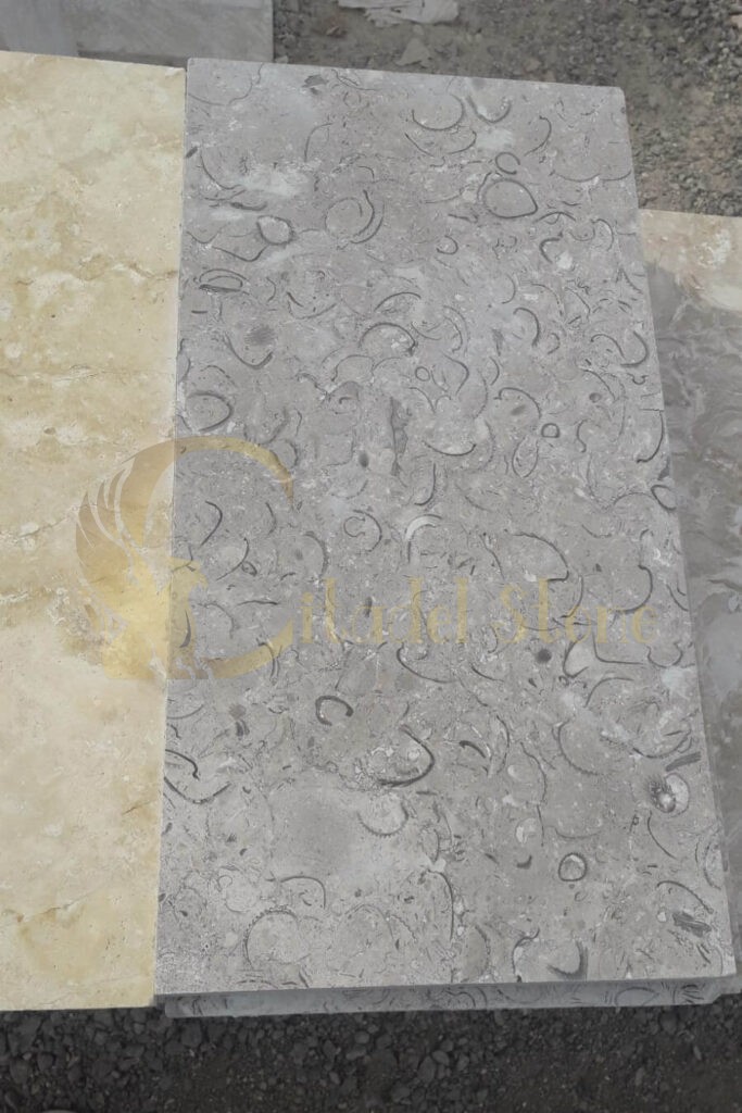 Fossil limestone tiles. Blue limestone tiles with fossils