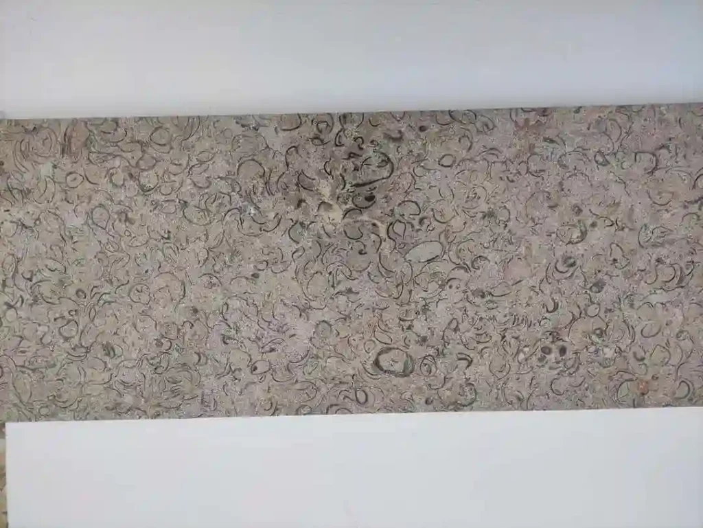 Several Blue Eyelash limestone tiles featuring unique natural marine fossil inclusions in grey and blue tones.