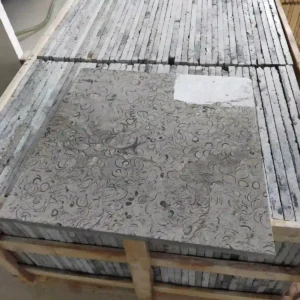 Close-up macro shot of embedded marine fossils within a Blue Eyelash limestone tile, highlighting detailed prehistoric shapes.