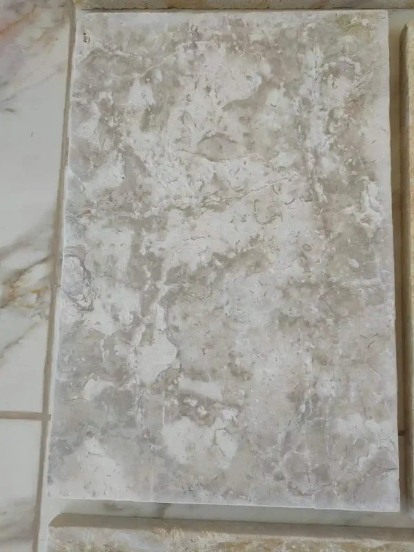 Ocean Reef Shellstone Slabs | Fossil-Rich Natural Stone