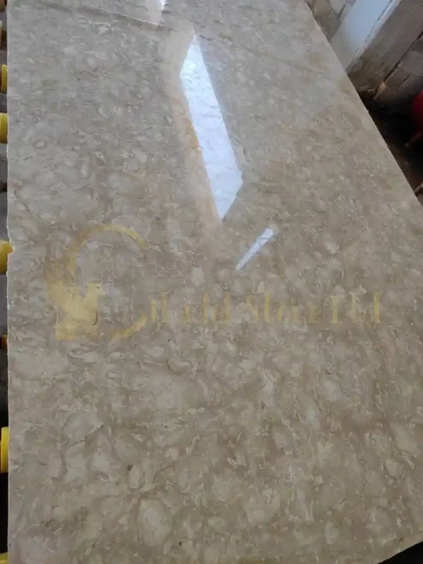 Ocean Reef Shellstone – Polished | Fossil-Rich Natural Stone