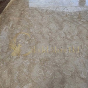 Limestone outdoor pavers. These limestone floor tiles for sale in Arizona and across the United States. They are very unique in shells on them. They are a popular option to stone veneer companies.