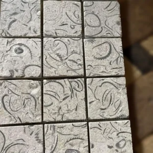 Natural blue stone cobblestones featuring visible prehistoric fossils and shells for a unique garden walkway.