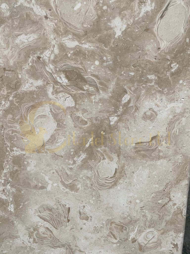 Shellstone pavers. This photo represents a clear look at the shells on this ocean reef limestone tile.