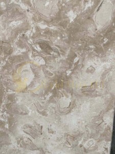 Shellstone tiles. Unique in the shells on this limestone.