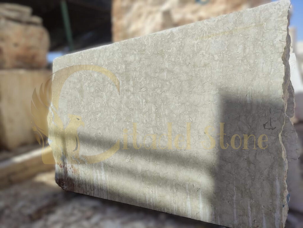 Shell stone tiles polished