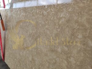Shellstone vs travertine pavers
