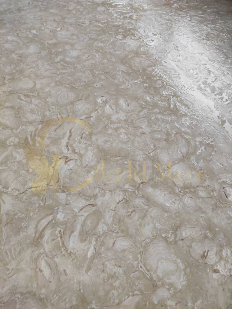 Travertine vs. Shellstone Tiles