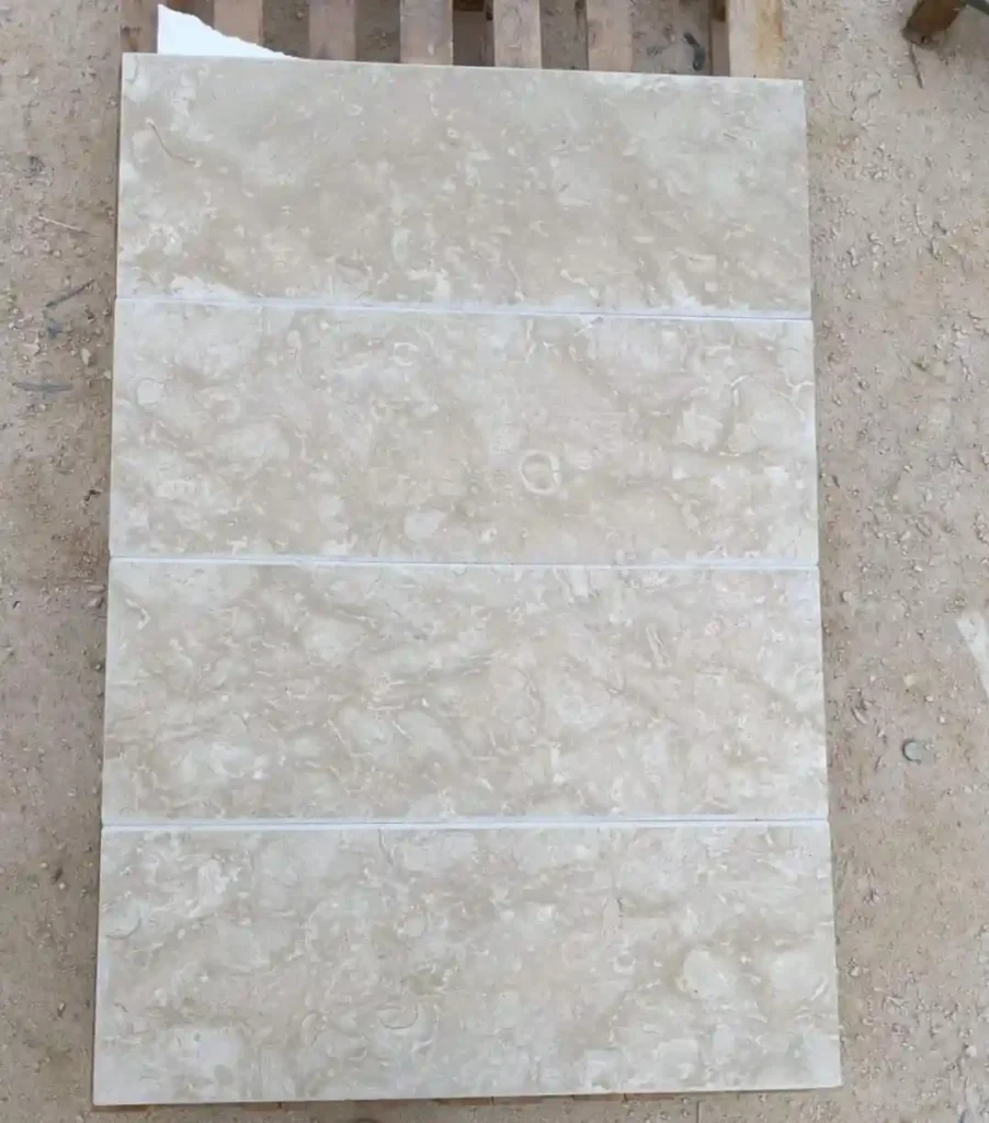 Modern exterior outdoor using polished Shellstone tiles with shells.