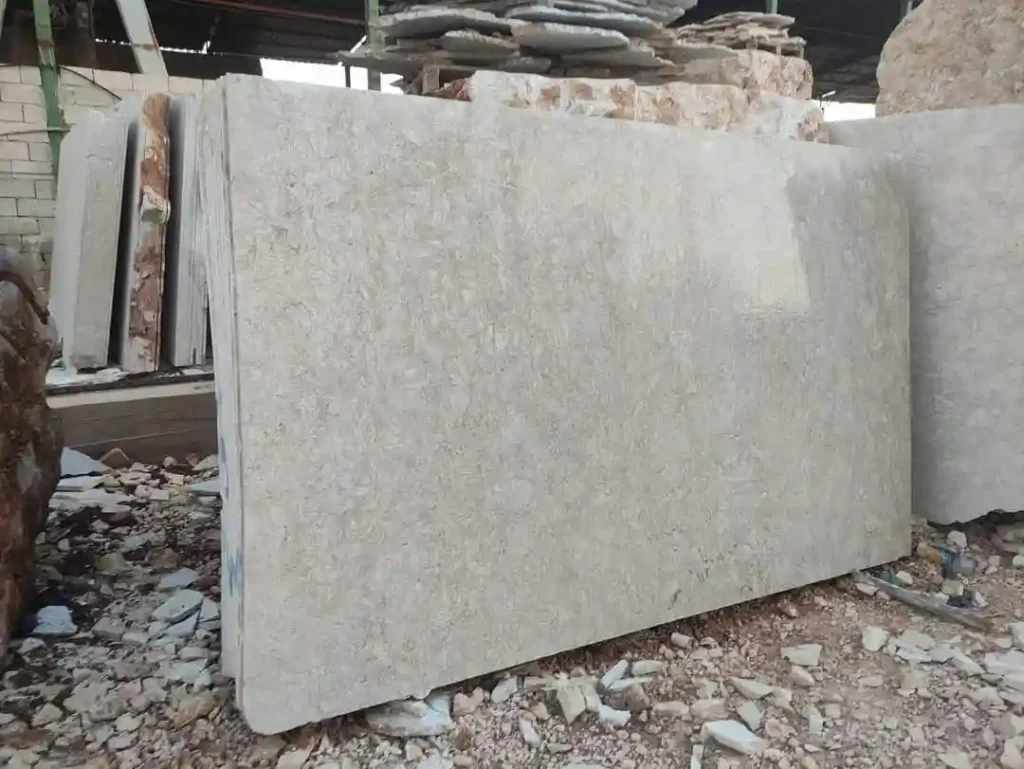 High-gloss polished Ocean Reef Shellstone tiles showing vivid, clear fossil inclusions within the cream stone.