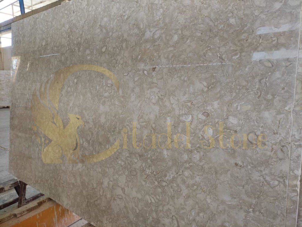 A beautiful patio made with shellstone pavers showcasing natural stone elements.