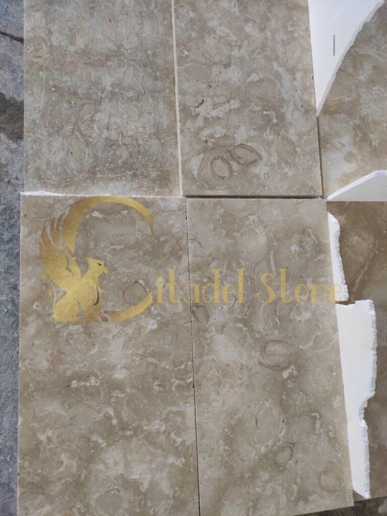 A close-up of slip-resistant shellstone pavers used in walkways.