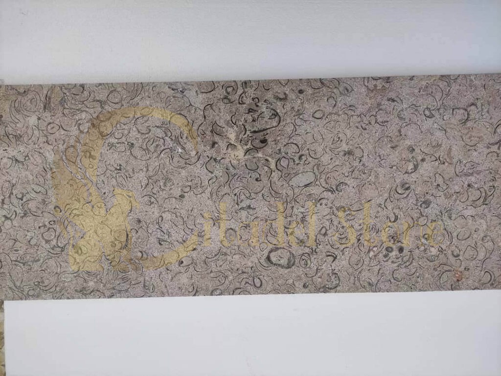An assortment of fossil limestone tiles showcasing their unique patterns and textures.