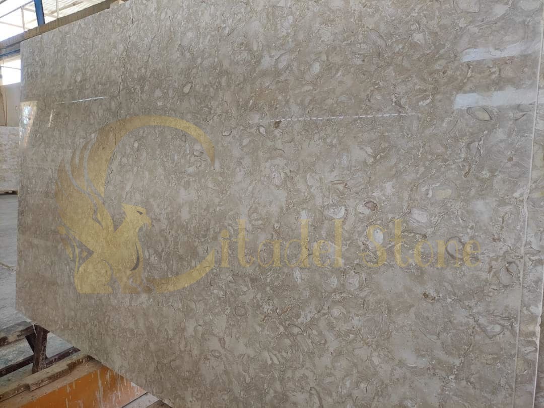 Shellstone pavers installed on patio — Citadel Stone