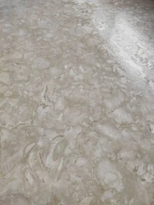 Ocean Reef Limestone texture closeup