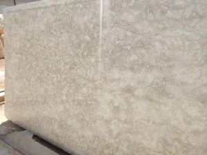 A close-up photo showing the fossilized texture of Shellstone, highlighting its geological origins.