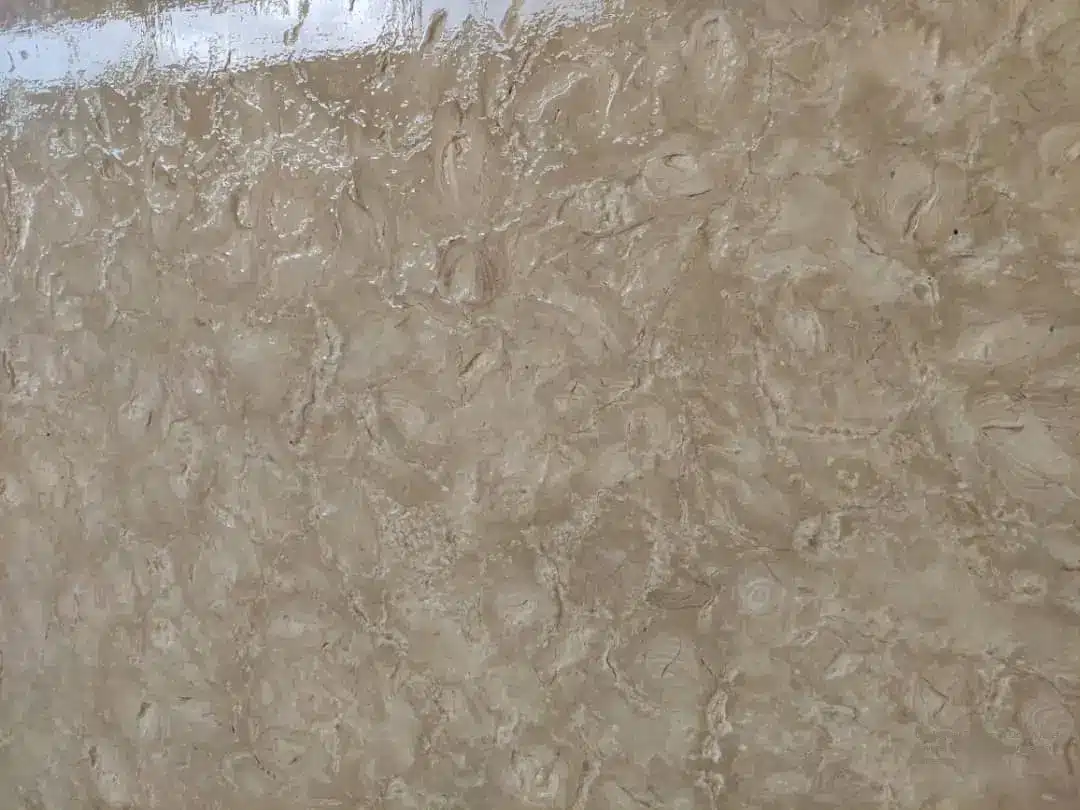 Geological Origins of Ocean Reef Pavers: Nature’s Masterpiece in Limestone