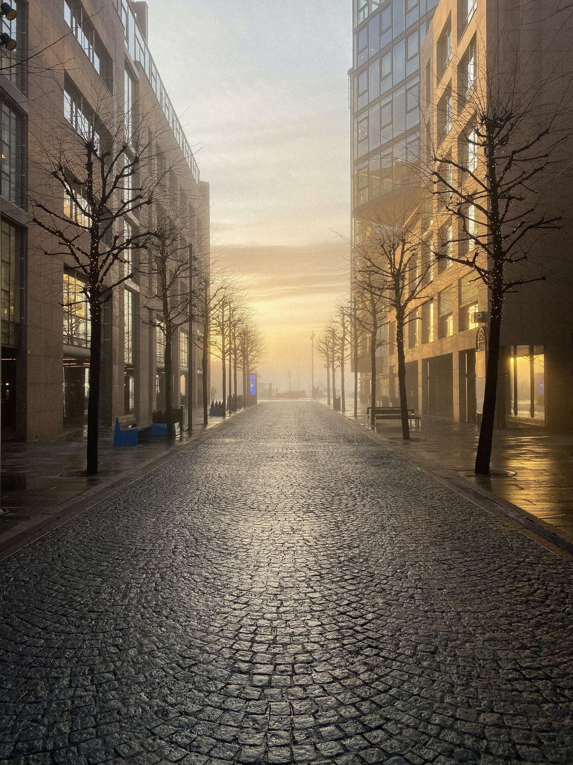 Slip Resistance & Safety Standards: Why Basalt Tiles Outperform Polished Marble & Ceramic Tiles