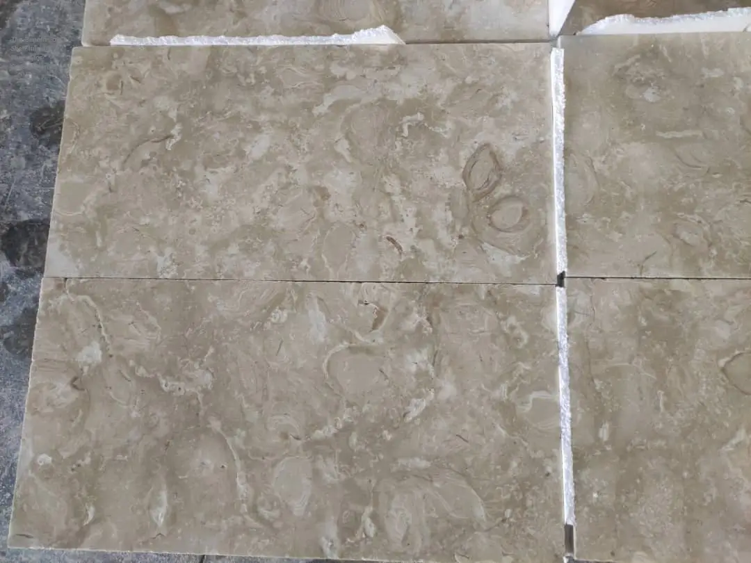 The Benefits of Shell-Inlaid Pavers for Coastal Homes