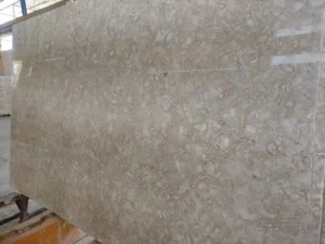 Architectural detail with Atlantic Shell Stone accents