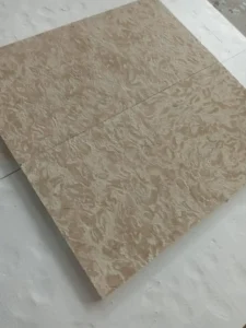 Coral Reef White flooring in a luxury residence