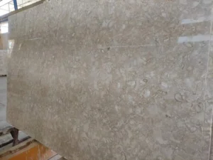 A photo of a well-maintained Shellstone paver patio or walkway, showcasing its pristine condition