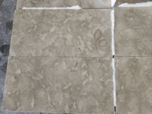 A close-up of tumbled Shellstone pavers around a pool, highlighting slip resistance