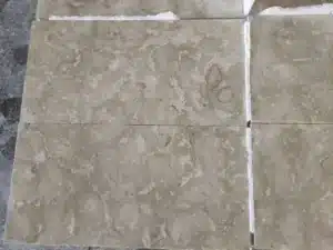 Modern minimalist shellstone driveway design in Florida.