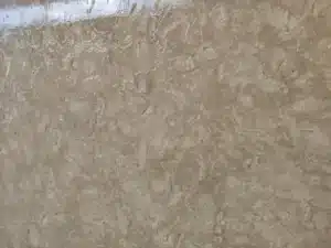 Shellstone paver pool deck Florida