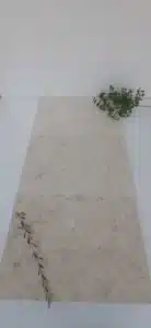 Natural stone paving with white limestone tiles