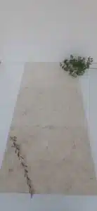 White polished limestone modern kitchen