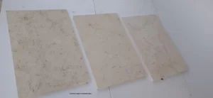 Limestone origins in sediment layers