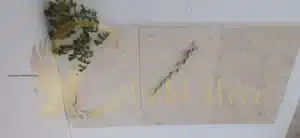 Backyard oasis with limestone pavers