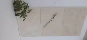 Limestone pavers by a pool