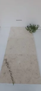 Porous limestone traits