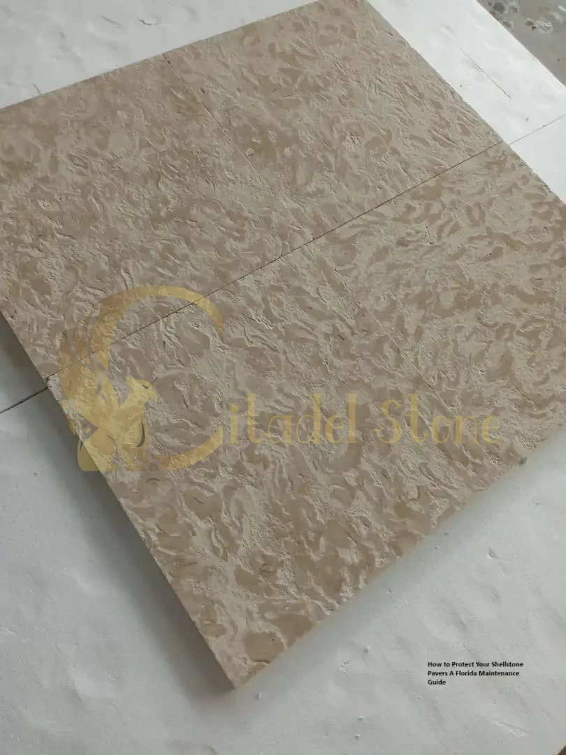 How to Protect Your Shellstone Pavers: A Florida Maintenance Guide