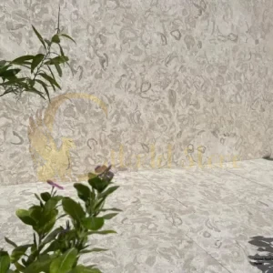 Ocean reef leathered shellstone pavers.