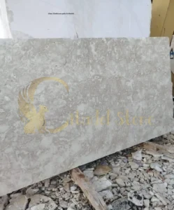 Clean Shellstone patio in Florida