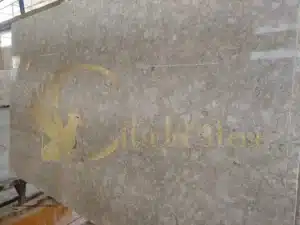 Shellstone pavers in a Florida front yard