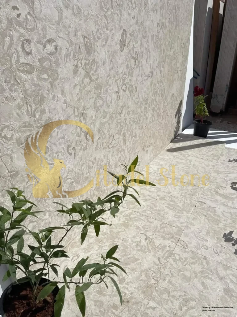 Close-up of leathered Shellstone paver texture