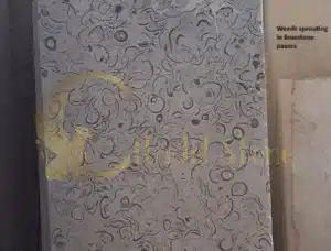 Weeds sprouting in limestone pavers