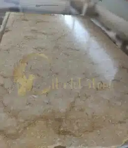 Winding garden path with tumbled limestone pavers and lush landscaping