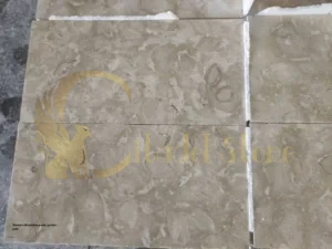 Western limestone paver garden path