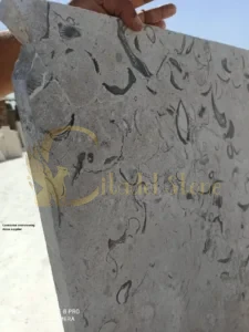 Contractor interviewing stone supplier