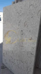 one-sided indemnity clause highlighted