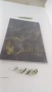 Paver Strength Demonstration