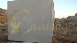 architect on video call touring quarry