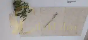 Elegant natural stone patio in a Caribbean setting