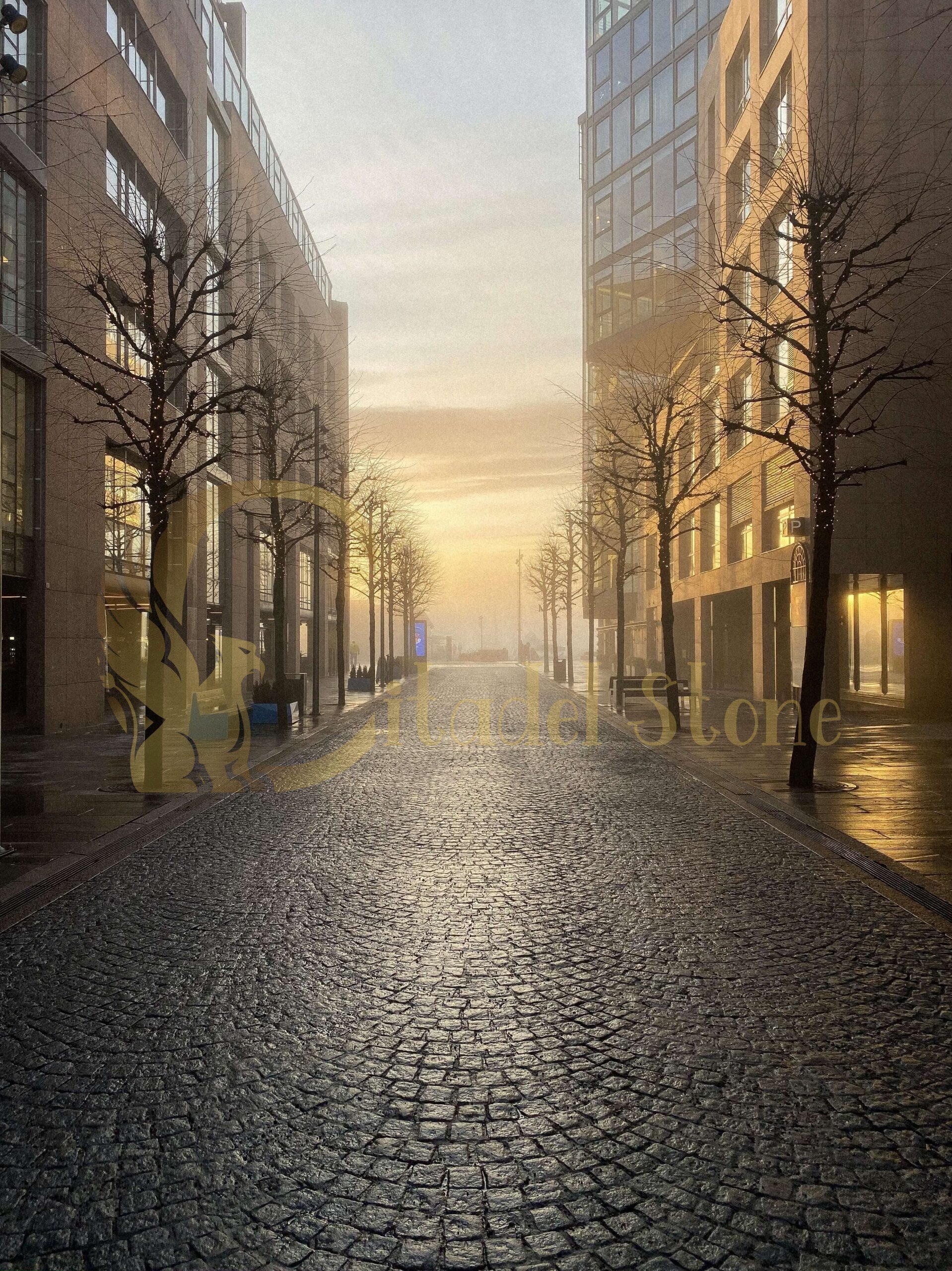 Achieving the Modern Monolithic Look Why Black Basalt Pavers Are the Designer's Choice Over Granite