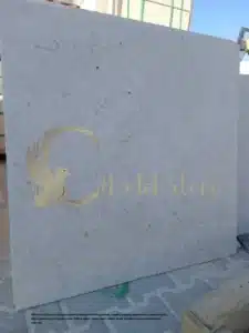 Close-up of white shellstone showing fossilized shells and organic texture